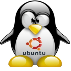 Como Crear y configurar un servidor DHCP en Debian